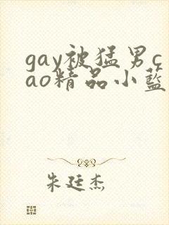 gay被猛男cao精品小蓝