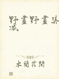 野画野画集无删减