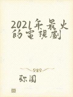 2021年最火的电视剧