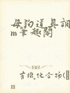 母狗道具调教sm笔趣阁