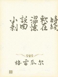 小说温软时光只剩回忆在线阅读封面