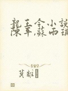 龙王令小说免费陈平,苏雨琪封面