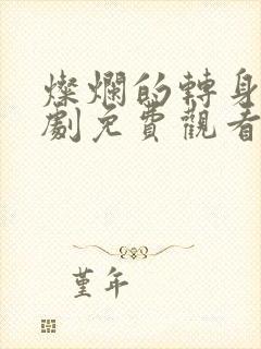 灿烂的转身电视剧免费观看全集高清