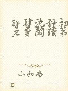 许肆沈静初全文免费阅读第十一章