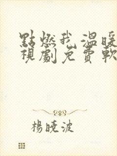 点燃我温暖你电视剧免费软件