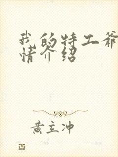 我的特工爷爷剧情介绍封面