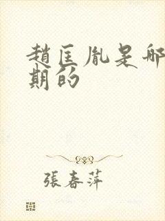 赵匡胤是哪个时期的