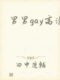 男男gay高清
