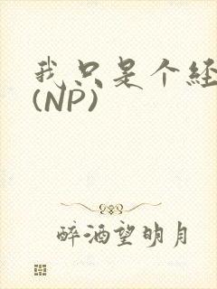 我只是个经纪人(NP)