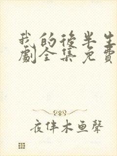 我的后半生电视剧全集免费播放高清