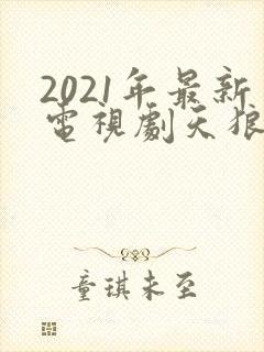 2021年最新电视剧天狼影视