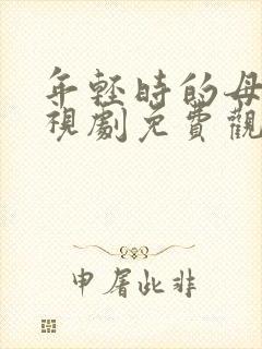 年轻时的母亲电视剧免费观看5