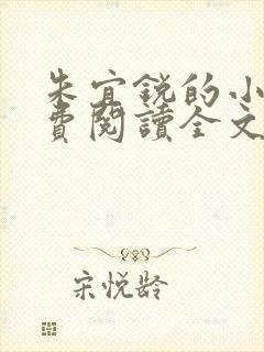 朱宜锐的小说免费阅读全文