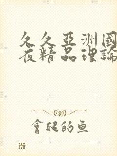 久久亚洲国际午夜精品理论