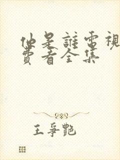 他是谁电视剧免费看全集封面