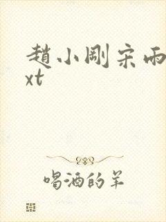 赵小刚宋雨晴txt封面