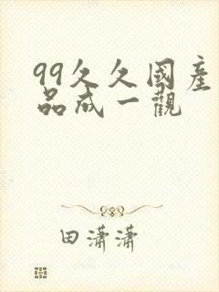 99久久国产精品成一观