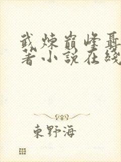 武炼巅峰聂枫原著小说在线阅读