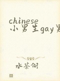 chinese小男生gay男男网站