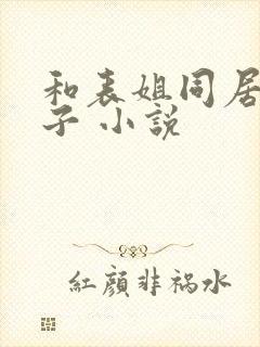 和表姐同居的日子 小说封面