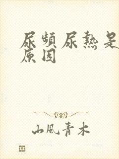 尿频尿热是什么原因