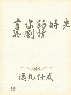 有你的时光里分集剧情封面