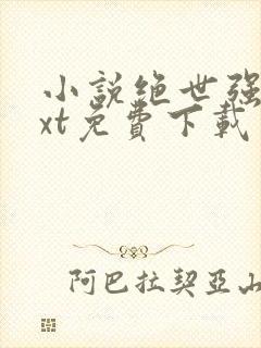 小说绝世强龙txt免费下载封面