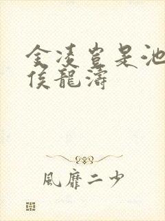 金凌岂是池中物侯龙涛封面