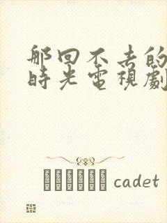 那回不去的年少时光电视剧免费观看封面