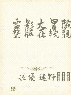 电影大冒险家完整版在线观看