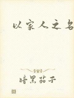 以家人之名小说