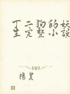 丁二狗的妖孽人生完整小说封面