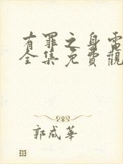 有罪之身电视剧全集免费观看高清