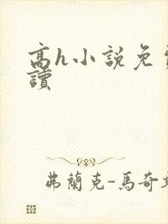 高h小说免费阅读封面