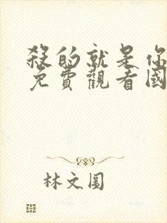 杀的就是你电影免费观看国语