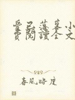 爱已落幕小说免费阅读全文