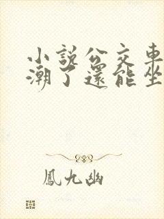 小说公交车上高潮了还能坐吗