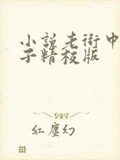 小说老街中的痞子精校版