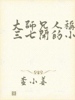 大师兄人称仙界三七开的小说叶观