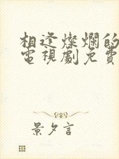 相逢灿烂的日子电视剧免费观看封面