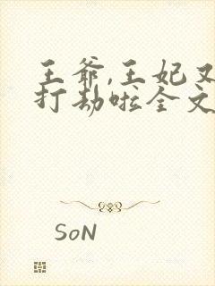 王爷,王妃又去打劫啦全文免费阅读封面