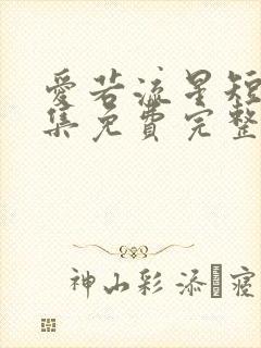 爱若流星短剧全集免费完整版封面