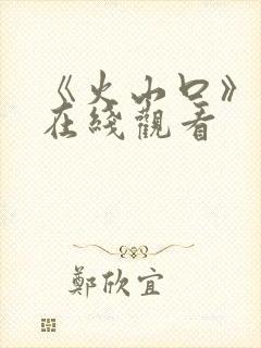 《火山口》日剧在线观看封面