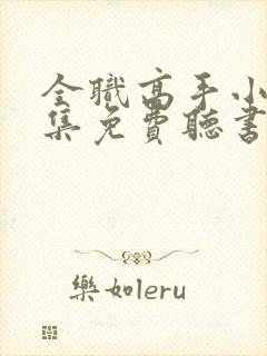 全职高手小说全集免费听书