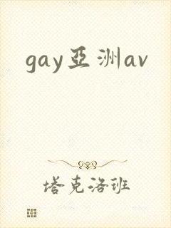 gay亚洲av