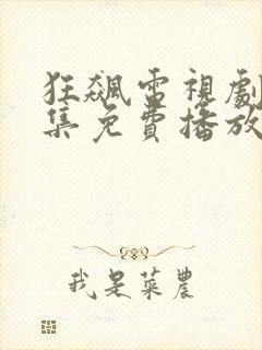 狂飙电视剧40集免费播放在线观看