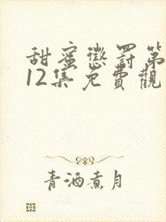 甜蜜惩罚第一季12集免费观看在线播放