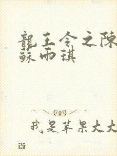 龙王令之陈平,苏雨琪