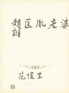 赵匡胤老婆都是谁