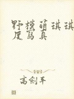 野模萌琪琪大尺度写真